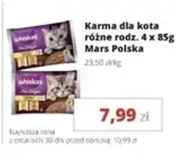 Torimpex Whiskas Karma dla kota oferta
