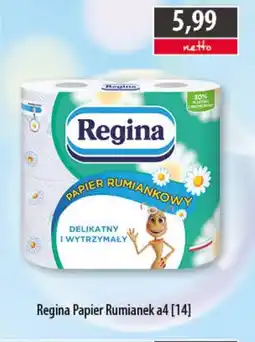 DUO-TES Regina Papier Rumianek oferta
