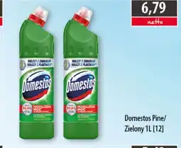 DUO-TES Domestos Przedłużona Moc Pine/Zielony oferta