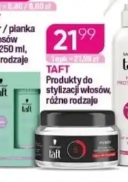 Koliber drogerie Taft Produkty do stylizacji włosów oferta