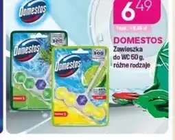 Koliber drogerie Domestos Zawieszka do wc oferta