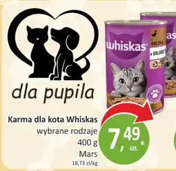 Passa Whiskas Karma dla kota oferta