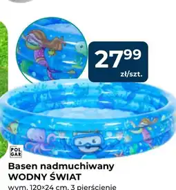 Mrówka Polgar Basen nadmuchiwany Wodny Świat oferta