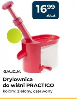 Mrówka Galicja Drylownica do wiśni practico oferta