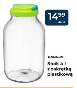 Mrówka Galicja Słoik z zakrętką plastikową oferta