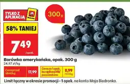 Biedronka Borówka amerykańska opak 300 g oferta