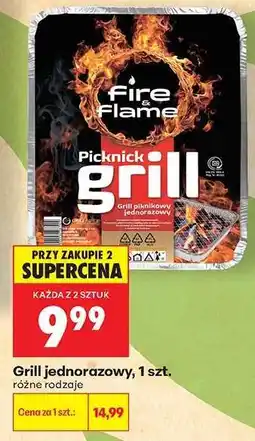 Biedronka Grill jednorazowy 1 szt oferta