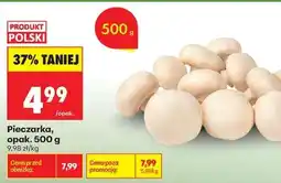 Biedronka Pieczarka opak 500 g oferta