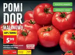 Biedronka Pomidor malinowy oferta