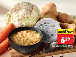 Biedronka Zupa jarzynowa 450 g oferta