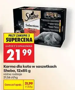 Biedronka Karma dla kota w saszetkach Sheba, 12x85 g oferta