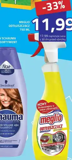 Hildebrandt Meglio Odtłuszczacz oferta