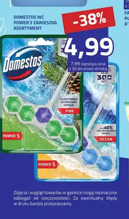 Hildebrandt Domestos wc Power 5 Zawieszka oferta