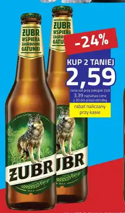 Hildebrandt Żubr Piwo oferta