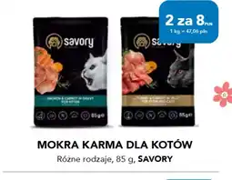 AquaelZOO Savory Mokra karma dla kotów oferta