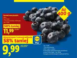 Lidl Borówki amerykańskie oferta