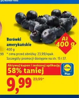 Lidl Borówki amerykańskie oferta