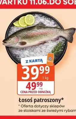 E.Leclerc Łosoś patroszony oferta