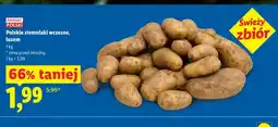 Lidl Ziemniaki wczesne Ryneczek Lidla polskie oferta