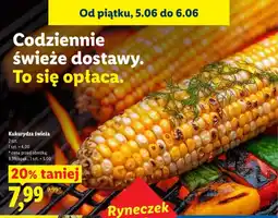 Lidl Kukurydza świeża 2-pak oferta