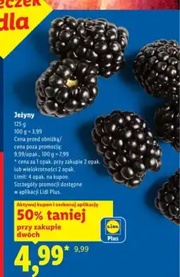 Lidl Jeżyny oferta