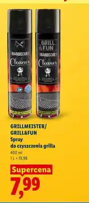 Lidl Spray do czyszczenia grilla Grillmeister Grill&Fun oferta