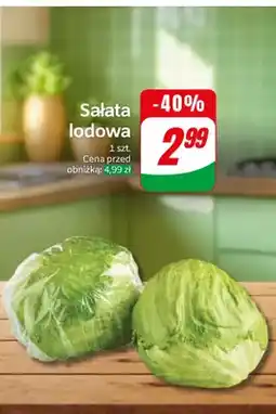 Dino Sałata lodowa oferta
