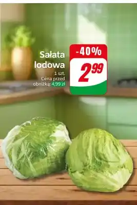 Sałata lodowa