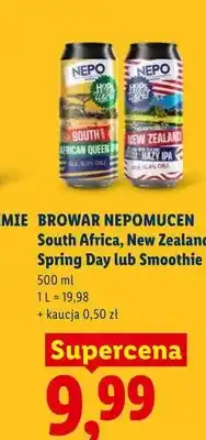 Lidl Piwo Browar Nepomucen South Africa oferta