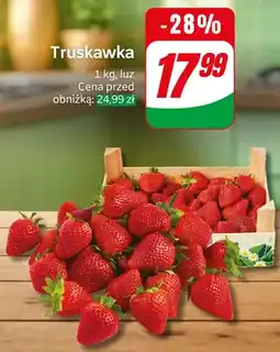 Dino Truskawka oferta