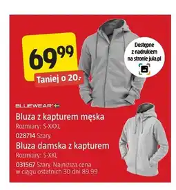 Jula Bluza damska z kapturem Bluewear oferta