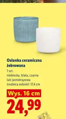Lidl Osłonka ceramiczna żebrowana oferta