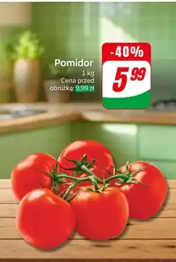 Dino Pomidor oferta
