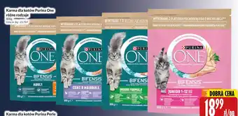 Purina One Karma dla kotów