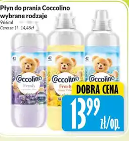 Hala Wola Coccolino Płyn do prania oferta