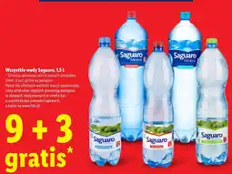 Lidl Wszystkie wody Saguaro oferta