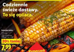 Lidl Ryneczek Lidla Kukurydza świeża oferta