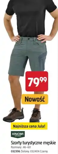 Jula Kayoba Outdoor Szorty turystyczne męskie oferta