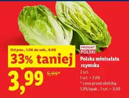 Lidl Polska minisałata rzymska oferta