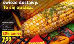 Lidl Kukurydza świeža oferta