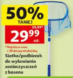 Auchan Siatka/podbierak do wyławiania zanieczyszczeń z basenu oferta