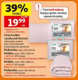Auchan Poduszka oferta