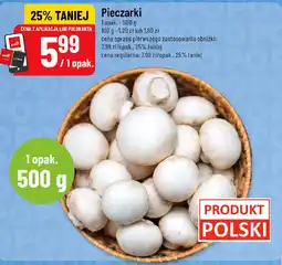 Polomarket Pieczarki oferta