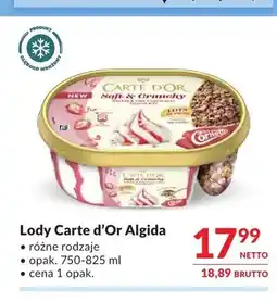 Makro Lody Carte d'Or Algida oferta