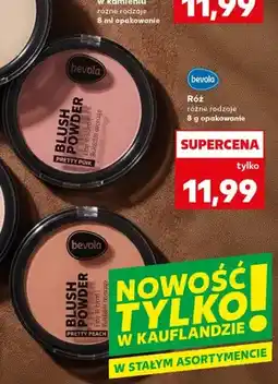 Kaufland Róż w kamieniu Bevola Pretty Pink oferta