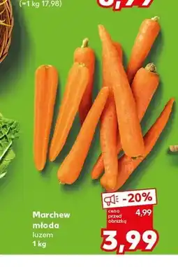 Kaufland Marchew młoda oferta