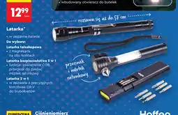 Biedronka Latarka Lethe oferta