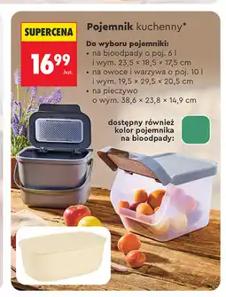 Biedronka Pojemnik kuchenny oferta