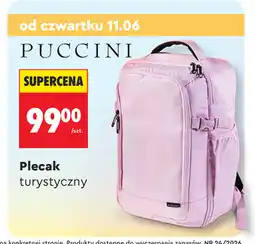 Biedronka PUCCINI Plecak turystyczny oferta