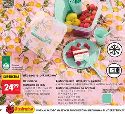 Biedronka SMUKEE Akcesoria piknikowe oferta